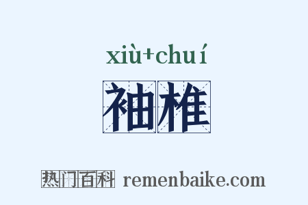 袖椎是什么意思的图片